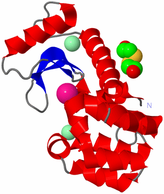 Image Asym./Biol. Unit