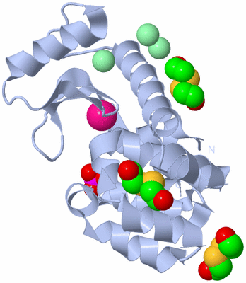 Image Biological Unit 1