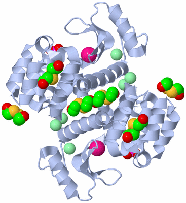 Image Biological Unit 2