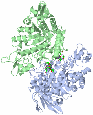 Image Asym./Biol. Unit - sites