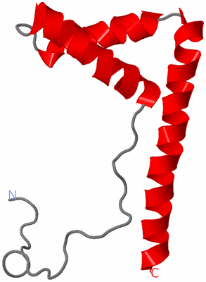 Image NMR Structure - model 1