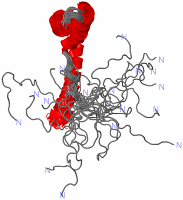 Image NMR Structure - all models