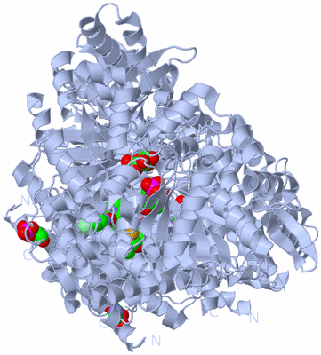 Image Biological Unit 1