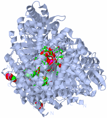 Image Biol. Unit 1 - sites