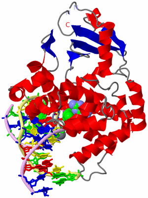 Image Asym./Biol. Unit