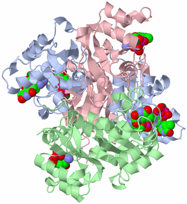 Image Biological Unit 1