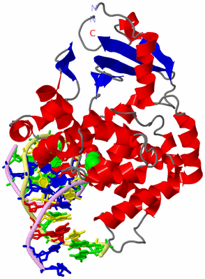 Image Asym./Biol. Unit