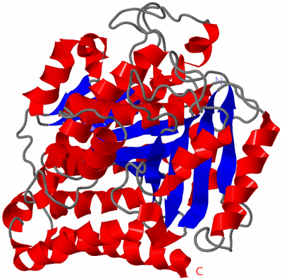 Image Theoretical Model
