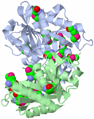 Image Asymmetric Unit