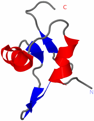 Image NMR Structure - model 1