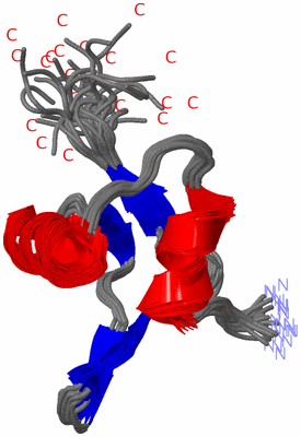 Image NMR Structure - all models