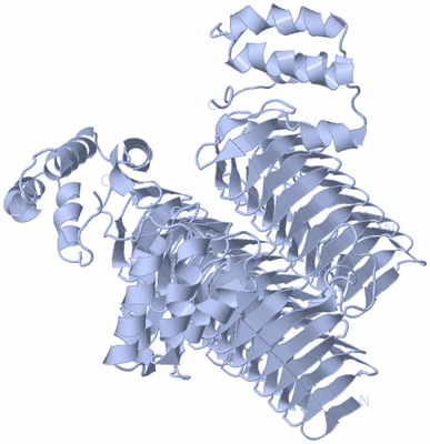 Image Biological Unit 1