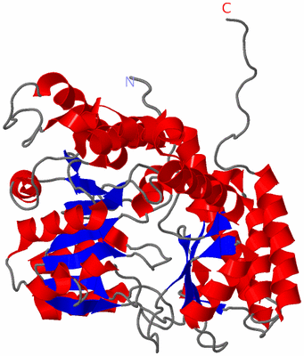 Image Theoretical Model