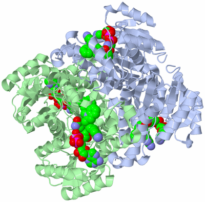 Image Biological Unit 1