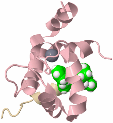 Image NMR Structure - model 1