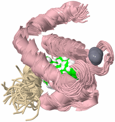 Image NMR Structure - all models