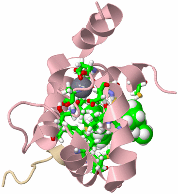 Image NMR Structure - model 1, sites