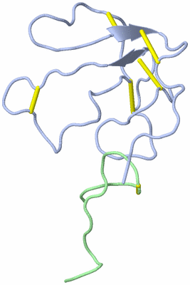 Image NMR Structure - model 1