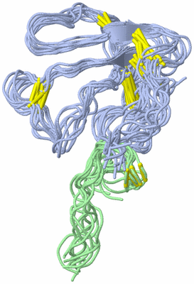 Image NMR Structure - all models