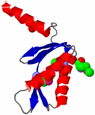 Image Asymmetric Unit