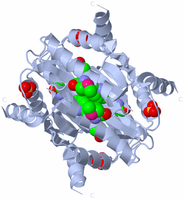 Image Biological Unit 1