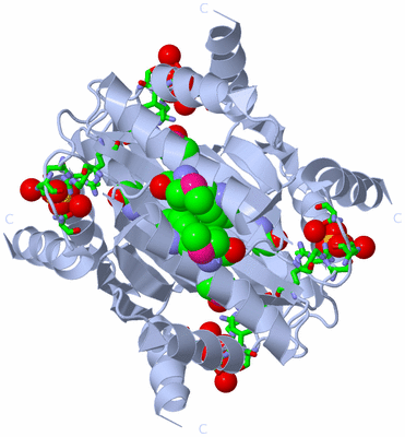 Image Biol. Unit 1 - sites