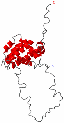 Image NMR Structure - model 1