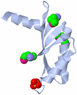 Image Biological Unit 1