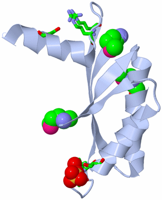Image Biol. Unit 1 - sites
