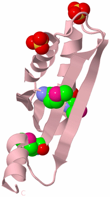 Image Biological Unit 3