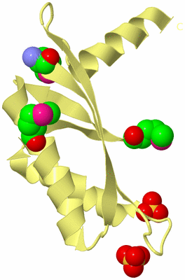 Image Biological Unit 4