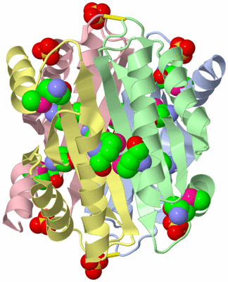 Image Biological Unit 5