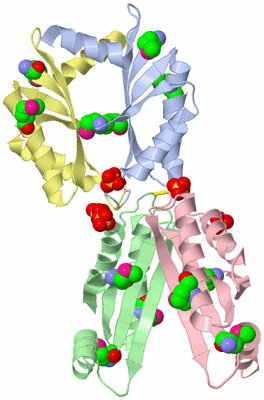 Image Biological Unit 6