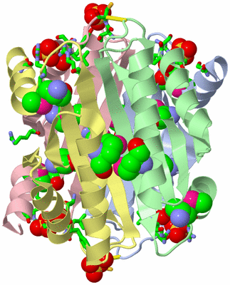 Image Asym. Unit - sites