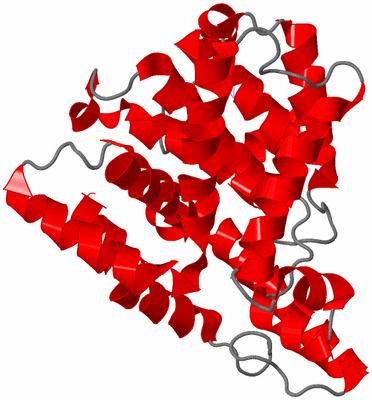 Image Theoretical Model