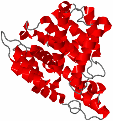 Image Theoretical Model