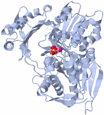 Image Biological Unit 1