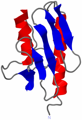 Image NMR Structure - model 1