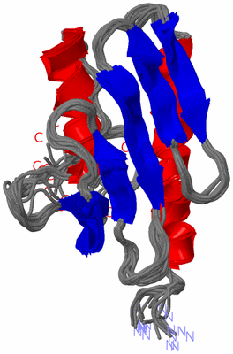 Image NMR Structure - all models