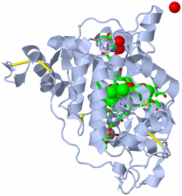 Image Biol. Unit 1 - sites