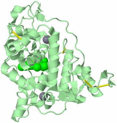 Image Biological Unit 2