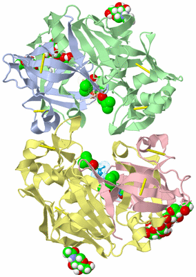 Image Biological Unit 1