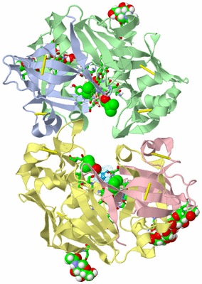 Image Biol. Unit 1 - sites