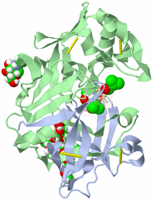 Image Biological Unit 2