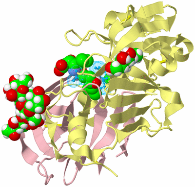 Image Biological Unit 3