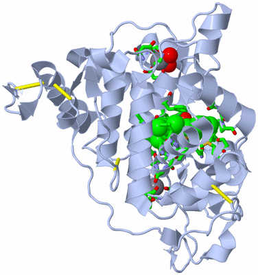 Image Biol. Unit 1 - sites