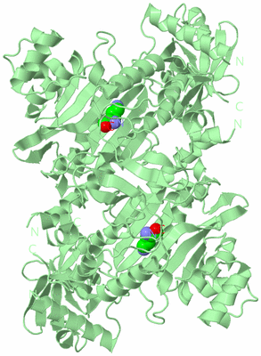 Image Biological Unit 2