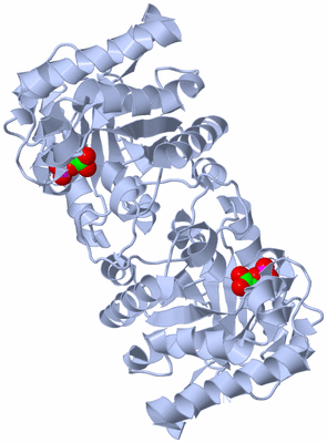 Image Biological Unit 2