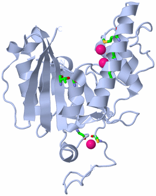 Image Biol. Unit 1 - sites