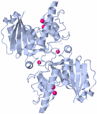 Image Biological Unit 2